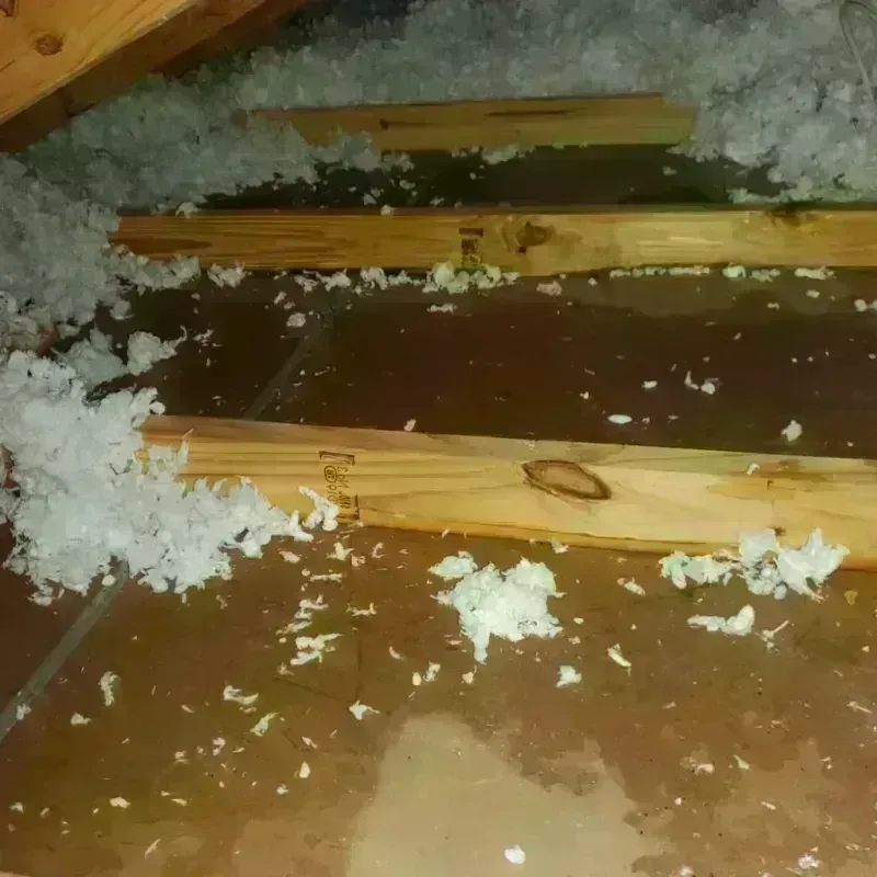 Attic Water Damage in Round Lake Heights, IL